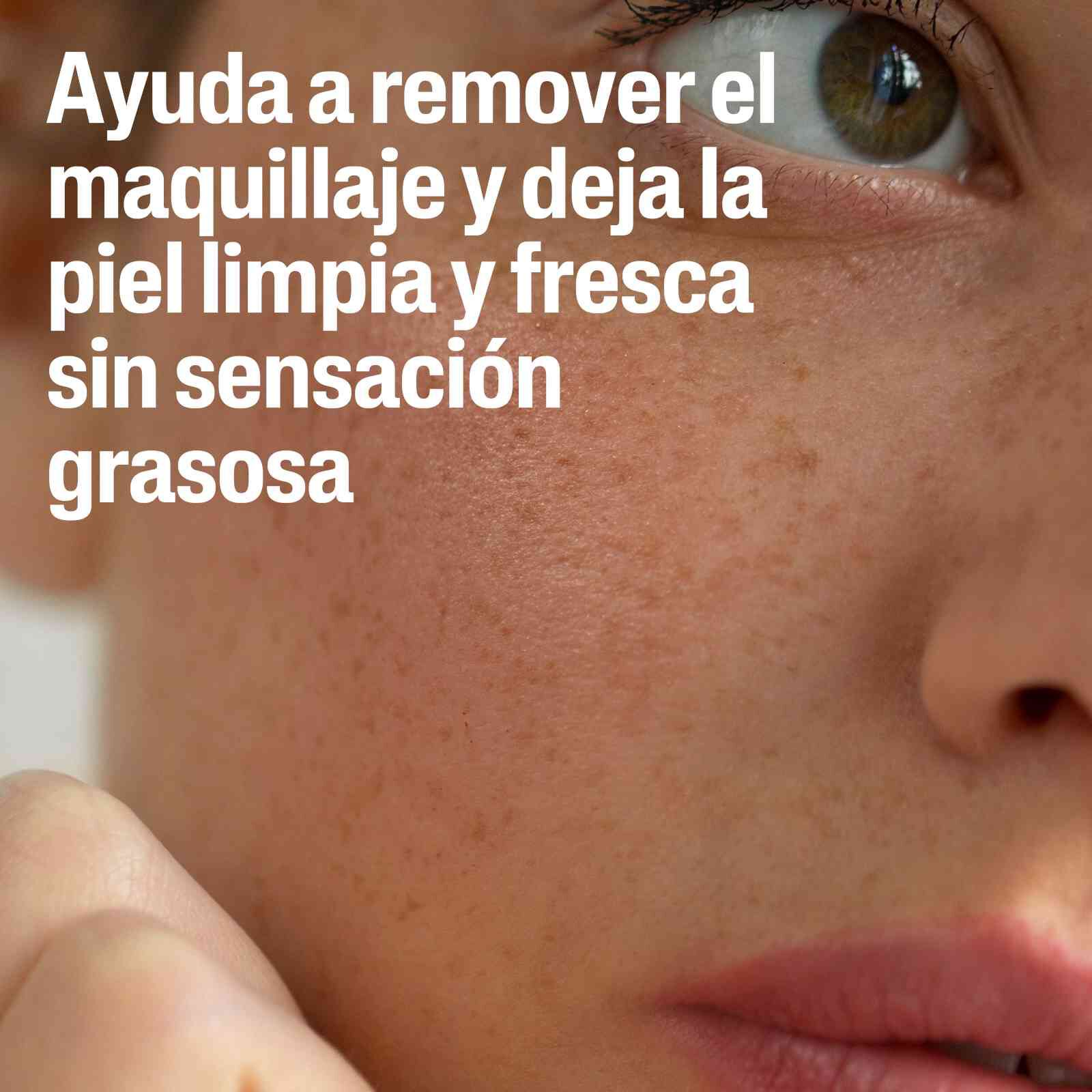 Desmaquillante Bif&aacute;sico Oil Free